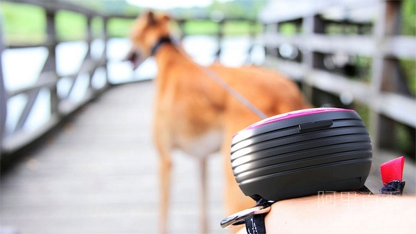 可以戴在手腕上的遛狗绳Lishinu 让你更轻松遛狗(图1) 可以戴在手腕上的遛狗绳Lishinu 让你更轻松遛狗--置顶表情